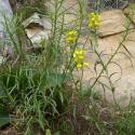 Img.VTax1063.Ex1.Img6