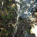 Img.VTax1065.Ex1.Img6