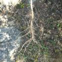 Img.VTax1065.Ex1.Img7