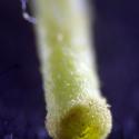 Img.VTax1065.Ex3.Img3