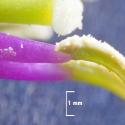 Img.VTax1072.Ex3.Img1