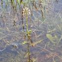 Img.VTax1077.Ex1.Img1
