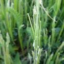 Img.VTax1087.Ex1.Img1