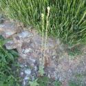 Img.VTax1087.Ex1.Img5