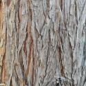 Img.VTax109.Ex1.Img1