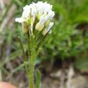 Img.VTax1091.Ex2.Img6