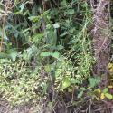 Img.VTax1109.Ex1.Img1