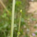 Img.VTax1114.Ex1.Img4