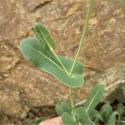 Img.VTax1114.Ex1.Img6