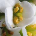 Img.VTax1149.Ex1.Img1