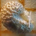 Img.VTax1221.Ex1.Img6