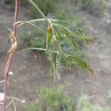 Img.VTax1225.Ex1.Img6