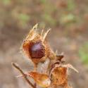 Img.VTax1229.Ex3.Img3