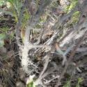 Img.VTax1252.Ex2.Img3