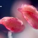 Img.VTax1269.Ex1.Img3