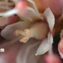 Img.VTax1269.Ex1.Img7
