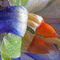 Img.VTax1287.Ex1.Img6