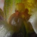 Img.VTax1306.Ex2.Img5