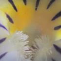 Img.VTax1306.Ex2.Img6