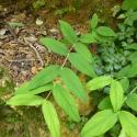 Img.VTax1315.Ex3.Img3