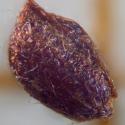 Img.VTax1315.Ex5.Img3