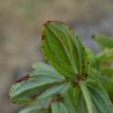Img.VTax1322.Ex1.Img7