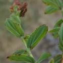 Img.VTax1322.Ex1.Img8