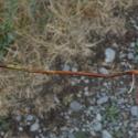 Img.VTax1322.Ex1.Img9