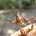 Img.VTax1324.Ex3.Img4