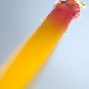 Img.VTax1324.Ex5.Img4