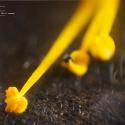 Img.VTax1324.Ex5.Img8