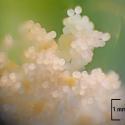 Img.VTax1337.Ex2.Img7