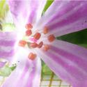 Img.VTax1366.Ex1.Img1