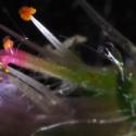 Img.VTax1366.Ex1.Img12