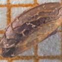 Img.VTax1366.Ex1.Img3