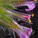 Img.VTax1366.Ex1.Img9