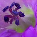 Img.VTax1371.Ex2.Img1