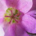 Img.VTax1376.Ex1.Img6