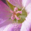Img.VTax1376.Ex1.Img7
