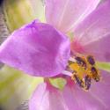 Img.VTax1391.Ex1.Img9