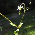 Img.VTax1402.Ex1.Img9