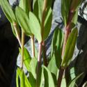 Img.VTax1402.Ex2.Img3