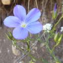 Img.VTax1405.Ex1.Img1