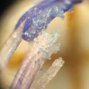 Img.VTax1406.Ex3.Img9