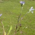 Img.VTax1407.Ex1.Img4