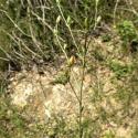 Img.VTax1416.Ex1.Img9