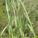 Img.VTax1419.Ex1.Img9