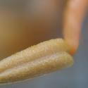 Img.VTax1423.Ex2.Img3