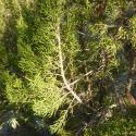 Img.VTax145.Ex1.Img1