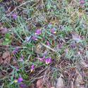 Img.VTax1457.Ex2.Img3